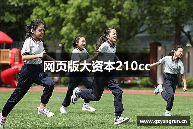 网页版大资本210cc